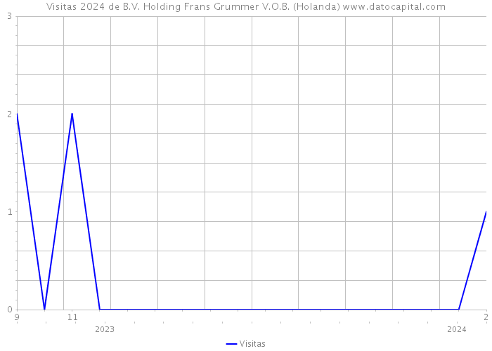 Visitas 2024 de B.V. Holding Frans Grummer V.O.B. (Holanda) 