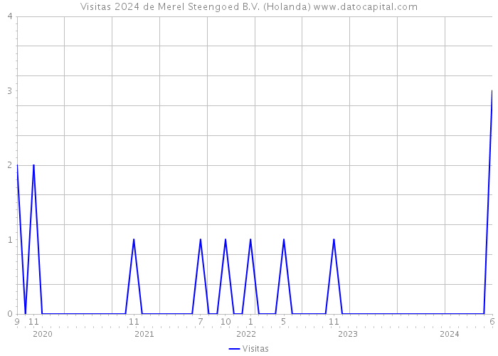 Visitas 2024 de Merel Steengoed B.V. (Holanda) 