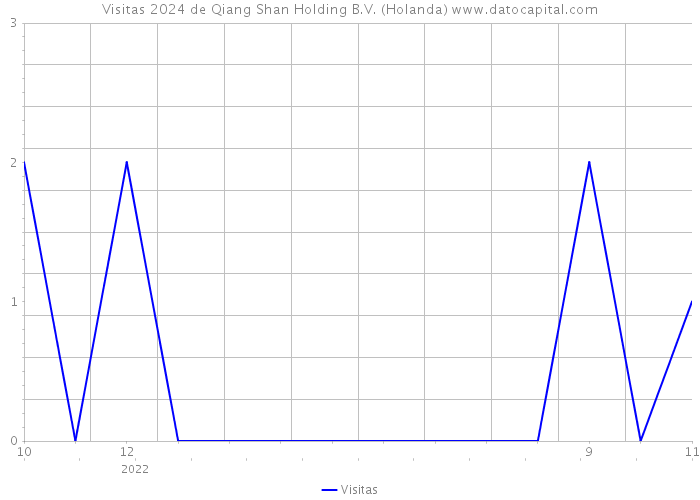 Visitas 2024 de Qiang Shan Holding B.V. (Holanda) 