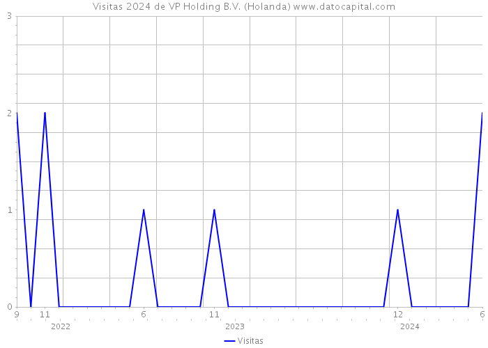 Visitas 2024 de VP Holding B.V. (Holanda) 