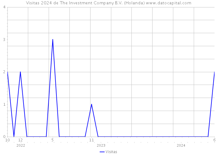 Visitas 2024 de The Investment Company B.V. (Holanda) 