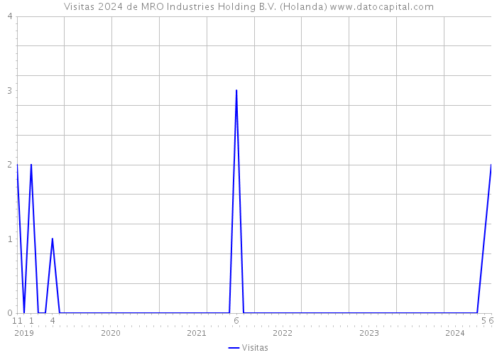 Visitas 2024 de MRO Industries Holding B.V. (Holanda) 