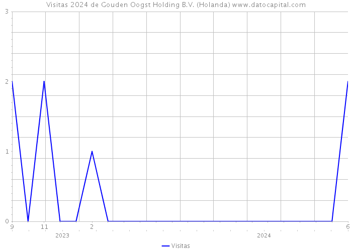 Visitas 2024 de Gouden Oogst Holding B.V. (Holanda) 