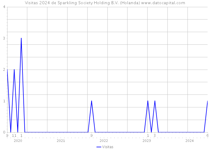 Visitas 2024 de Sparkling Society Holding B.V. (Holanda) 