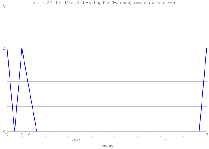 Visitas 2024 de Mees Kalf Holding B.V. (Holanda) 