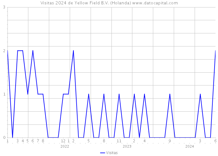 Visitas 2024 de Yellow Field B.V. (Holanda) 