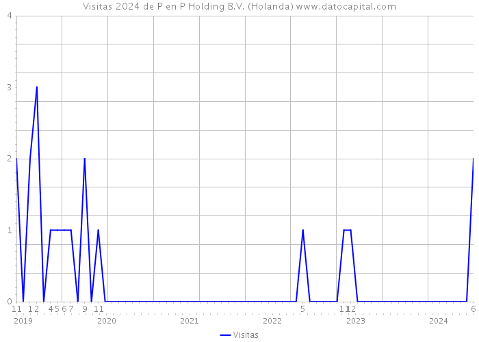 Visitas 2024 de P en P Holding B.V. (Holanda) 