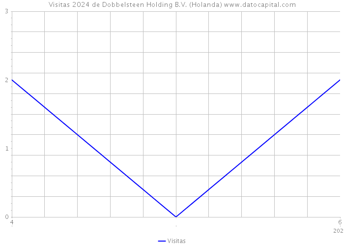 Visitas 2024 de Dobbelsteen Holding B.V. (Holanda) 