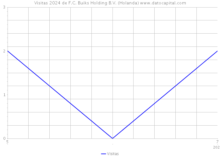 Visitas 2024 de F.C. Buiks Holding B.V. (Holanda) 