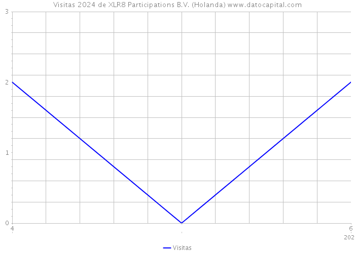 Visitas 2024 de XLR8 Participations B.V. (Holanda) 