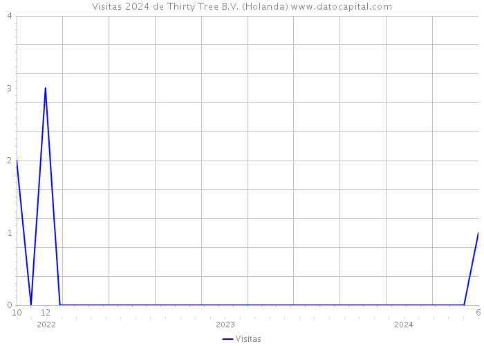 Visitas 2024 de Thirty Tree B.V. (Holanda) 