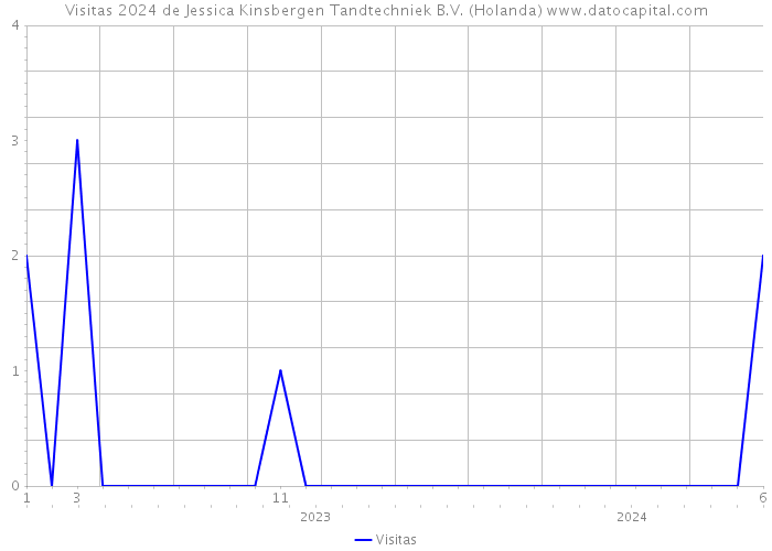 Visitas 2024 de Jessica Kinsbergen Tandtechniek B.V. (Holanda) 