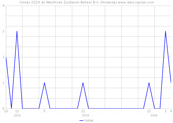 Visitas 2024 de Westhoek Zuidlaren Beheer B.V. (Holanda) 