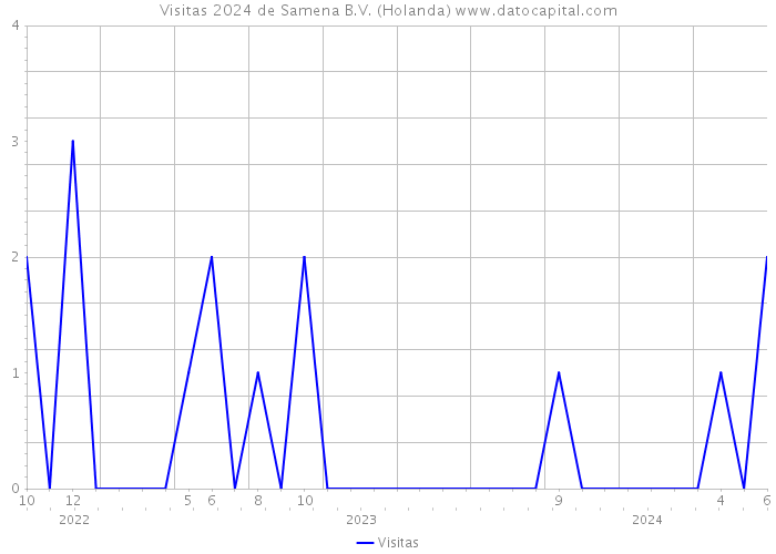 Visitas 2024 de Samena B.V. (Holanda) 