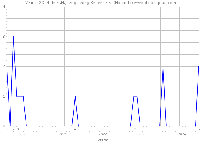 Visitas 2024 de M.H.J. Vogelzang Beheer B.V. (Holanda) 