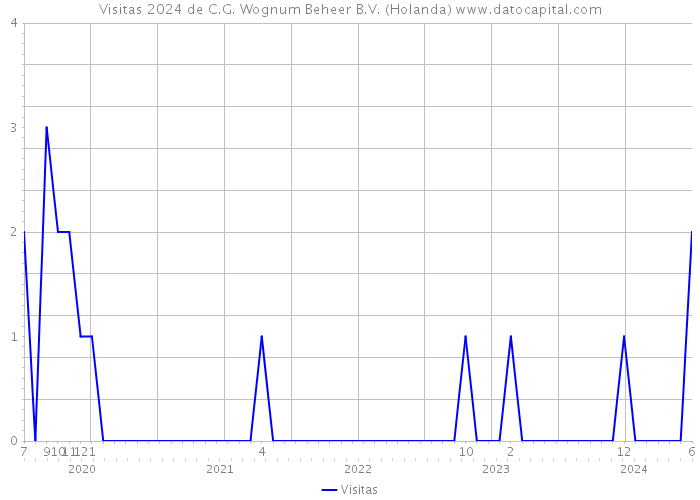 Visitas 2024 de C.G. Wognum Beheer B.V. (Holanda) 