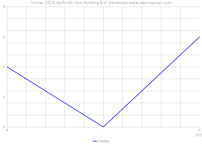 Visitas 2024 de Profit One Holding B.V. (Holanda) 