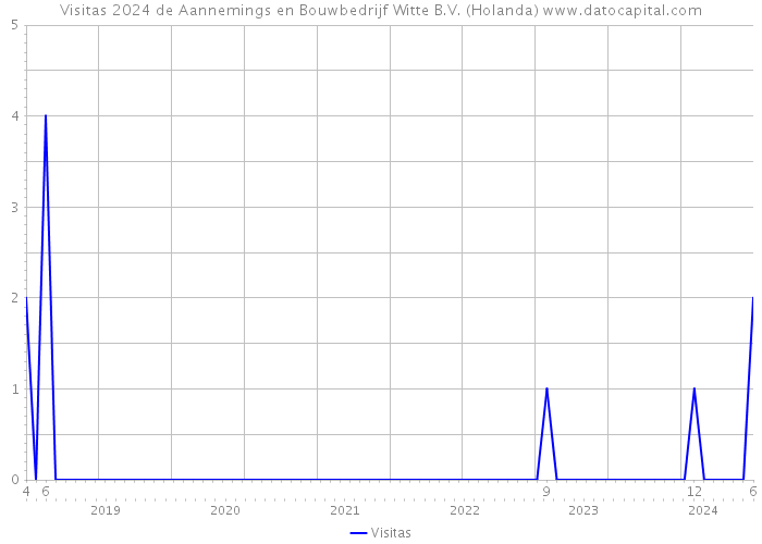 Visitas 2024 de Aannemings en Bouwbedrijf Witte B.V. (Holanda) 