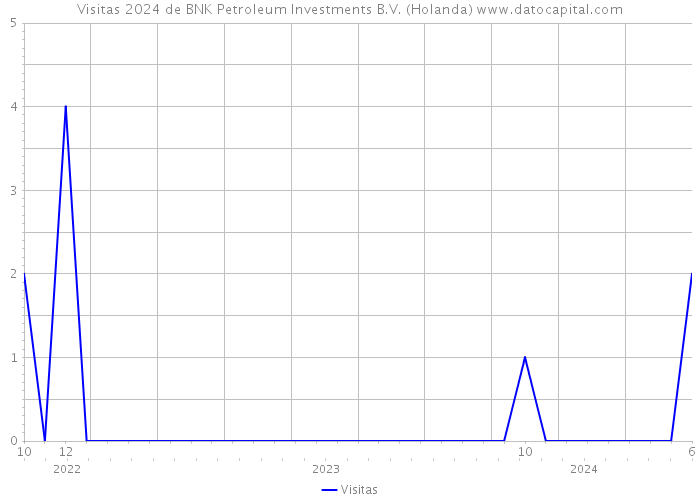 Visitas 2024 de BNK Petroleum Investments B.V. (Holanda) 