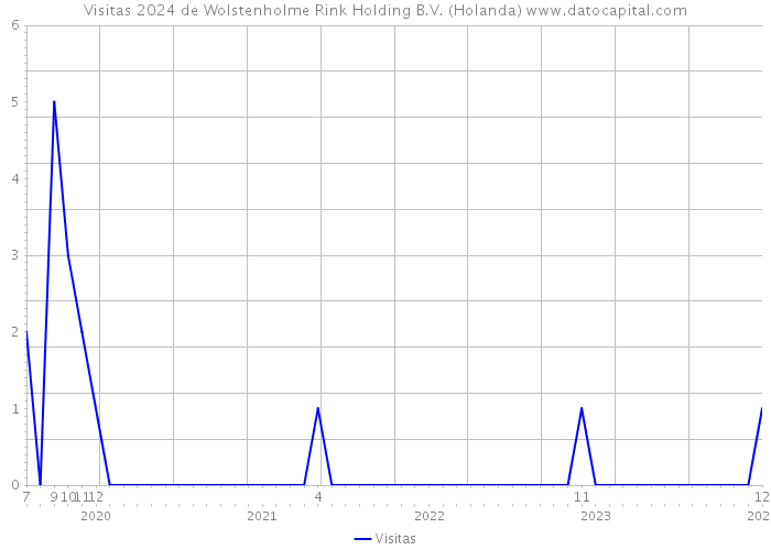 Visitas 2024 de Wolstenholme Rink Holding B.V. (Holanda) 