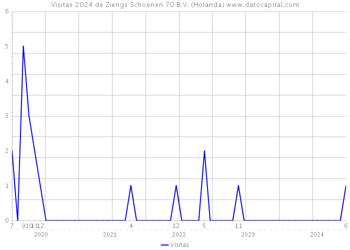 Visitas 2024 de Ziengs Schoenen 70 B.V. (Holanda) 