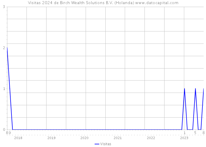 Visitas 2024 de Birch Wealth Solutions B.V. (Holanda) 