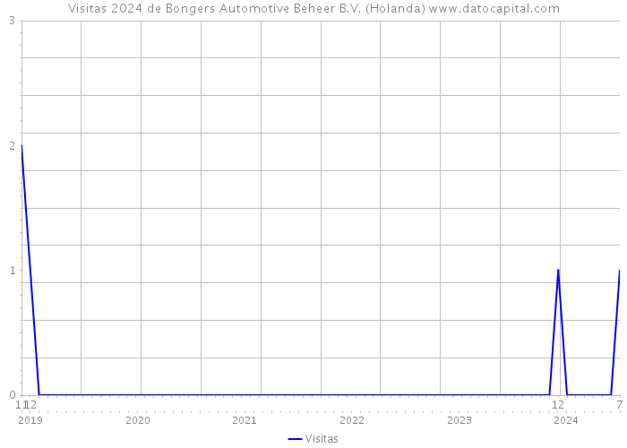 Visitas 2024 de Bongers Automotive Beheer B.V. (Holanda) 