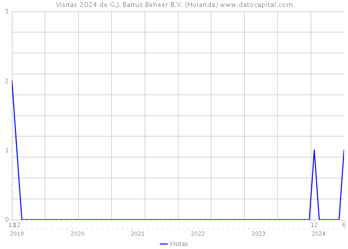 Visitas 2024 de G.J. Baltus Beheer B.V. (Holanda) 