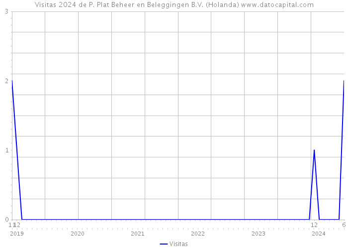 Visitas 2024 de P. Plat Beheer en Beleggingen B.V. (Holanda) 