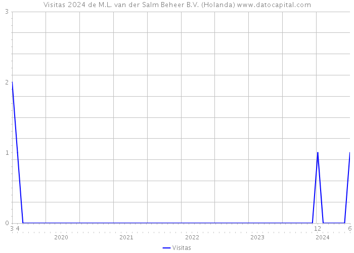 Visitas 2024 de M.L. van der Salm Beheer B.V. (Holanda) 