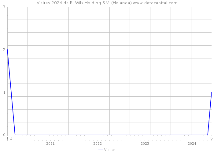 Visitas 2024 de R. Wils Holding B.V. (Holanda) 