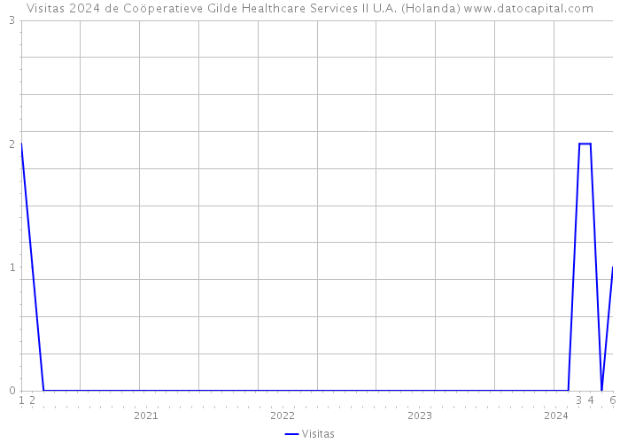 Visitas 2024 de Coöperatieve Gilde Healthcare Services II U.A. (Holanda) 
