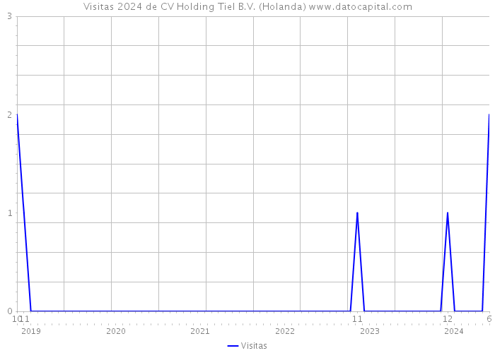 Visitas 2024 de CV Holding Tiel B.V. (Holanda) 