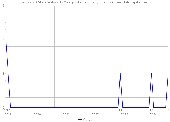 Visitas 2024 de Welvaarts Weegsystemen B.V. (Holanda) 