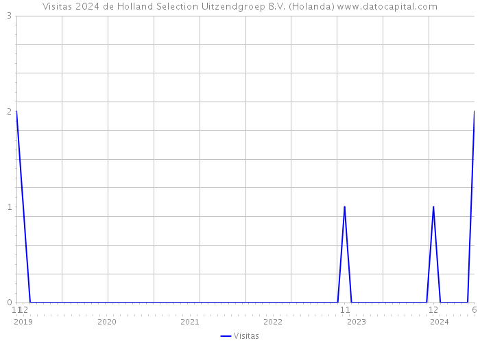 Visitas 2024 de Holland Selection Uitzendgroep B.V. (Holanda) 