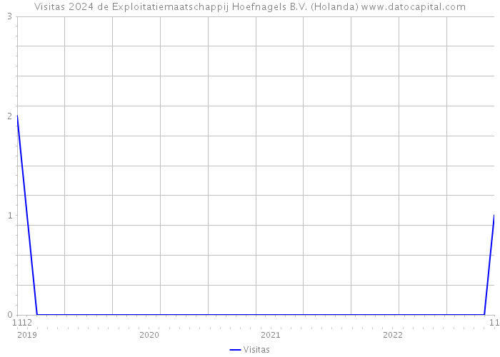 Visitas 2024 de Exploitatiemaatschappij Hoefnagels B.V. (Holanda) 