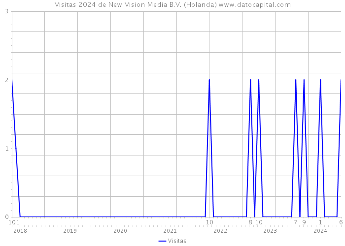 Visitas 2024 de New Vision Media B.V. (Holanda) 