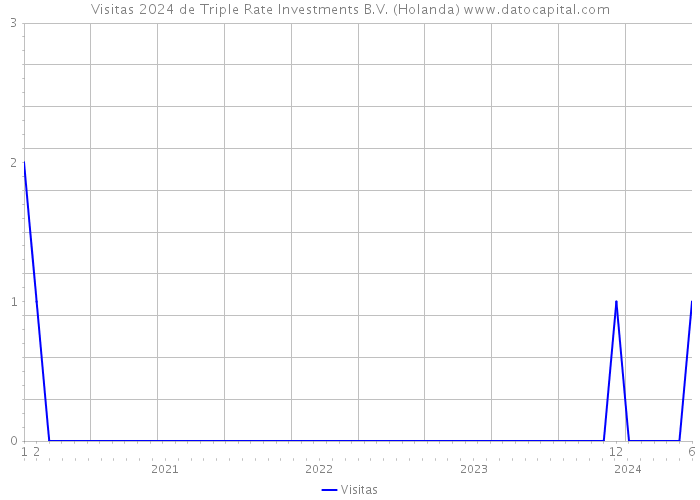 Visitas 2024 de Triple Rate Investments B.V. (Holanda) 