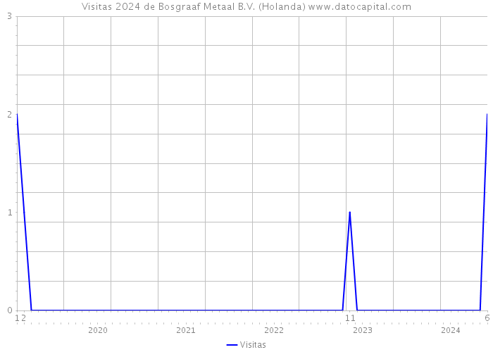 Visitas 2024 de Bosgraaf Metaal B.V. (Holanda) 