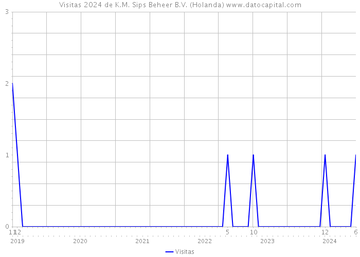 Visitas 2024 de K.M. Sips Beheer B.V. (Holanda) 