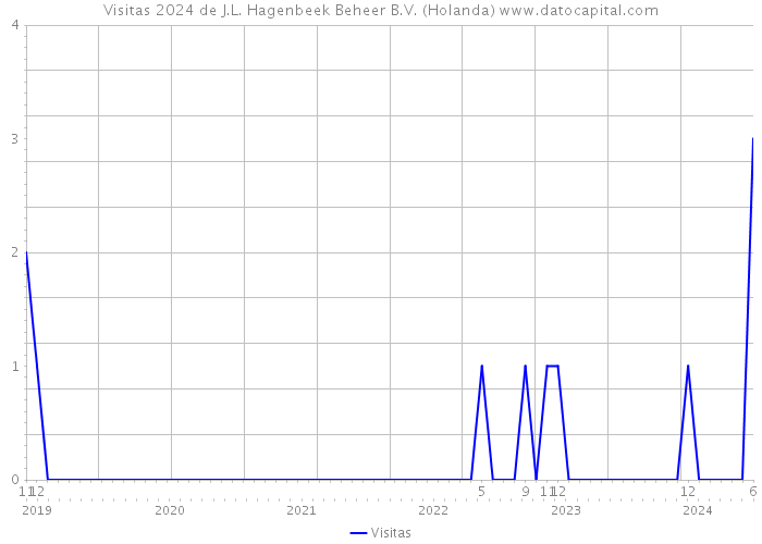 Visitas 2024 de J.L. Hagenbeek Beheer B.V. (Holanda) 