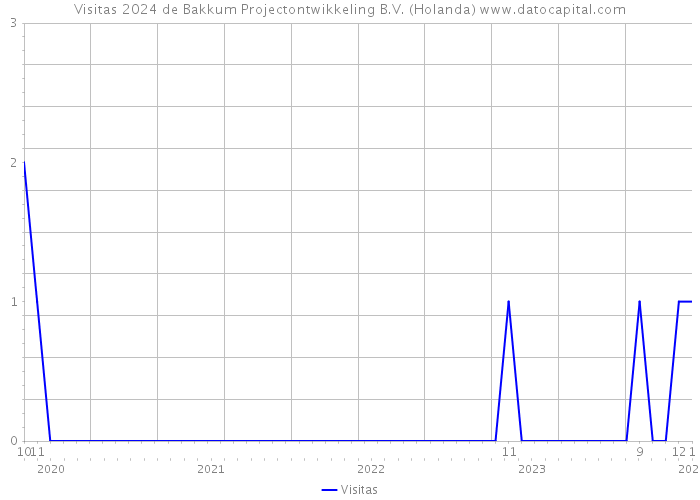 Visitas 2024 de Bakkum Projectontwikkeling B.V. (Holanda) 