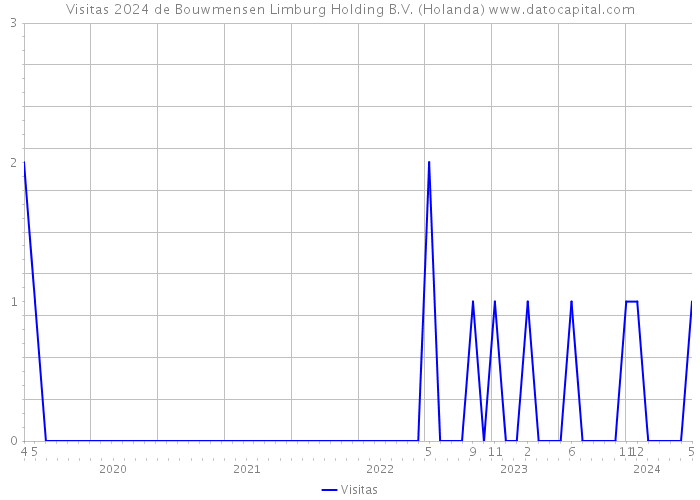 Visitas 2024 de Bouwmensen Limburg Holding B.V. (Holanda) 