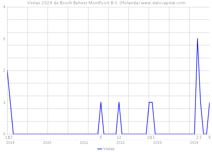 Visitas 2024 de Bosch Beheer Montfoort B.V. (Holanda) 