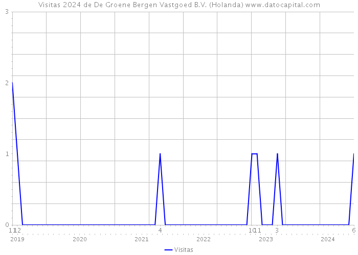 Visitas 2024 de De Groene Bergen Vastgoed B.V. (Holanda) 