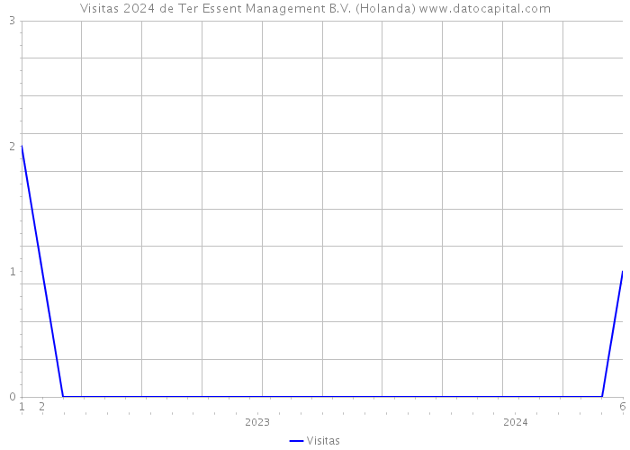 Visitas 2024 de Ter Essent Management B.V. (Holanda) 