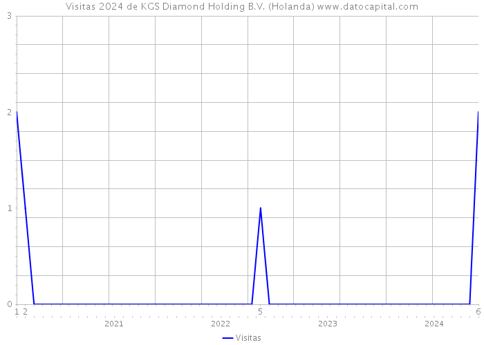 Visitas 2024 de KGS Diamond Holding B.V. (Holanda) 