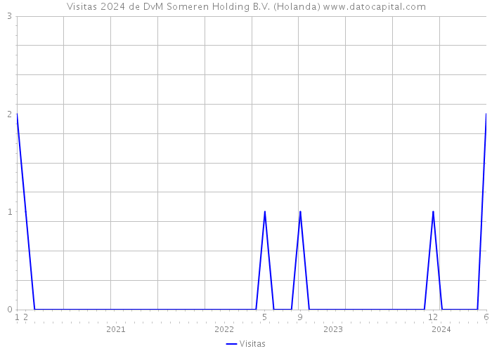 Visitas 2024 de DvM Someren Holding B.V. (Holanda) 