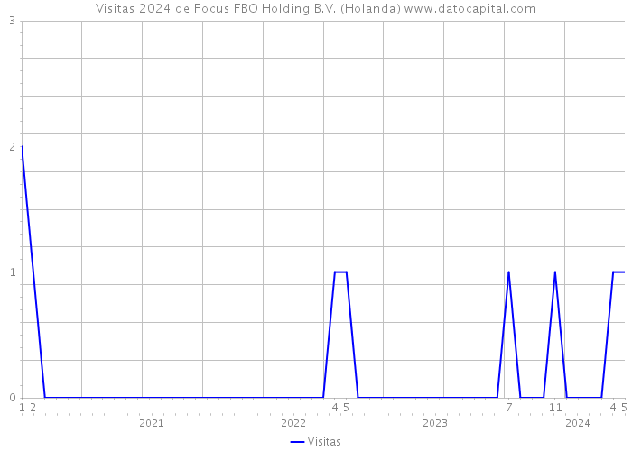 Visitas 2024 de Focus FBO Holding B.V. (Holanda) 