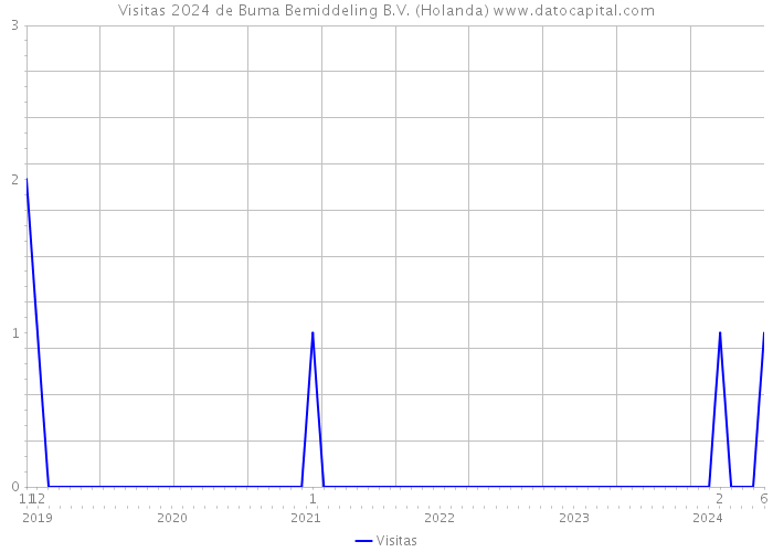 Visitas 2024 de Buma Bemiddeling B.V. (Holanda) 